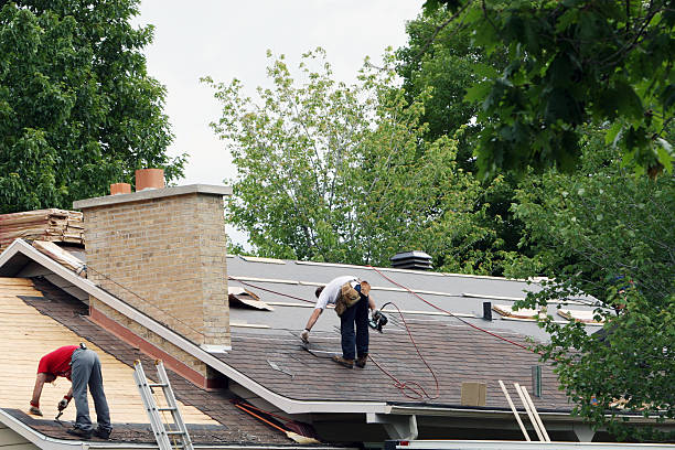 Best Roof Moss and Algae Removal  in Mission, TX